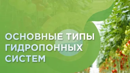 Изображение к статье - Основные типы гидропонных систем