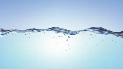 Изображение к статье - Вода для гидропоники